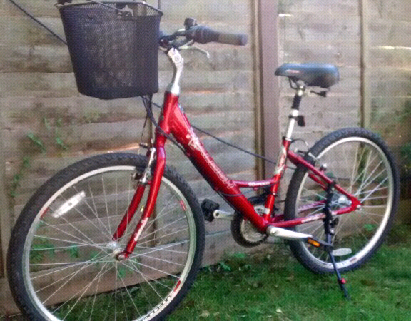 raleigh voyager ladies bike